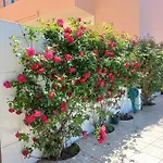 Casa Do Portao Azul - Salmonete Apartamento *