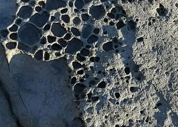 Casa Do Portão Azul - Salmonete