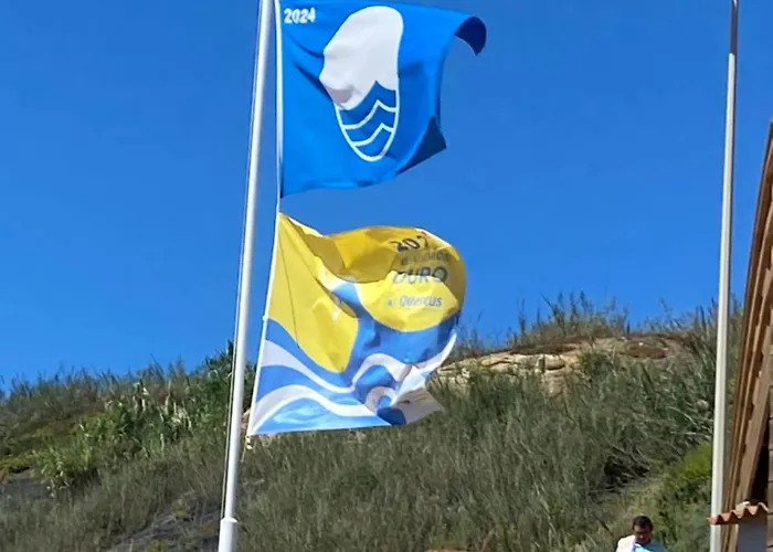 Casa Do Portão Azul - Salmonete